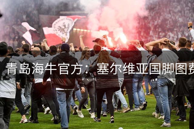 青岛海牛官方：塞尔维亚国脚图费格季奇加盟球队